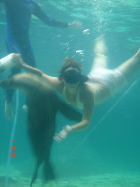           Moi avec un lion de mer...(ps: g nager avc!!!)